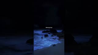 Download lagu Brandz Ft Zion - Intro (Real Love) Short LyricsVideo mp3