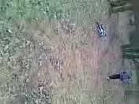 Warjat xD.Dawid Białecki