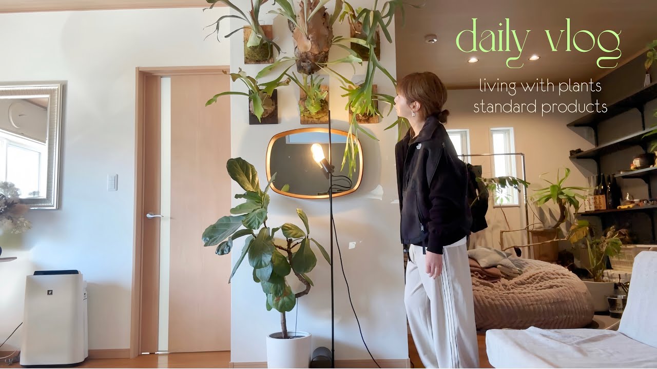 実は胃の不調の原因が…｜新しい植物を迎えた日🪴｜standard products🍲