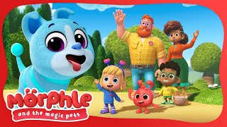 Perfect Day  | Morphle and the Magic Pets | Available on Disney+ and @disneyjunior | BRAND NEW