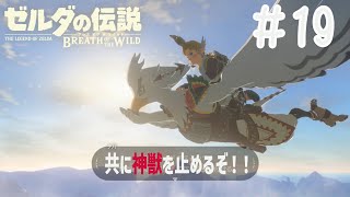 【BtoW】この世の原理を知らない　寄り道がメインのゼルダの実況　19