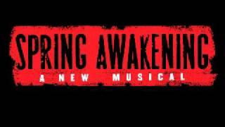 Mirror/Blue Night - Spring Awakening - Jonathan Groff - 11/26/06 - Broadway - Audio