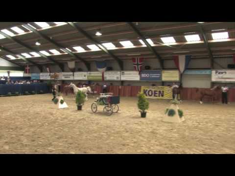 AR Fayyim - regionale West AVS 2009