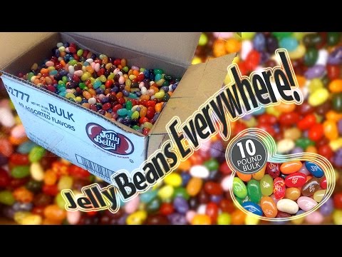 download lagu mp3 mp4 Jelly Belly Jelly Beans Bulk, download lagu Jelly Belly Jelly Beans Bulk gratis, unduh video klip Jelly Belly Jelly Beans Bulk
