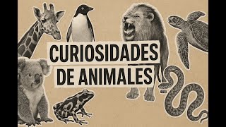 curiosidades de animales 2