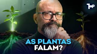 A Internet SECRETA das Plantas: Como as Árvores se Comunicam e Lutam Juntas!