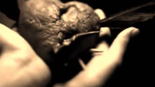 Alejandra Guzman   Mentiras piadosas video