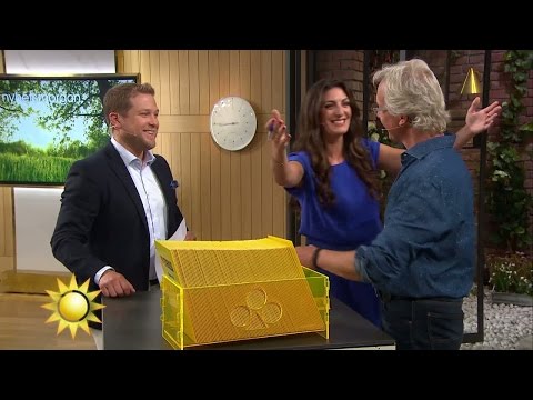 Efter stora vinsten: "Bara njuta av livet" - Nyhetsmorgon (TV4)