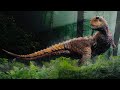 Carnotaurus | Sound Reconstruction (with ambience)
