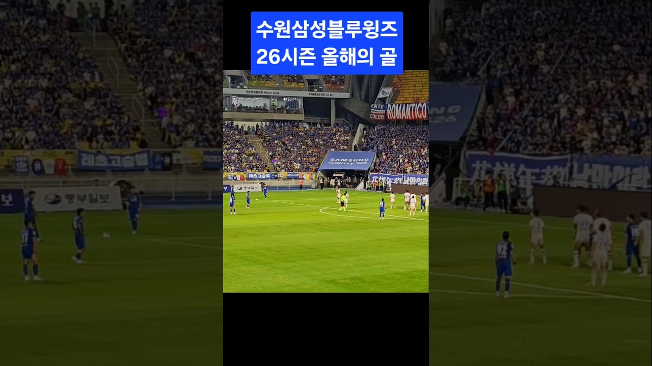 축구는 직관. #수원삼성 #수원삼성블루윙즈 #서포터즈 #승격 #프렌테트리콜로 #k리그 #빅버드 #고승범 #수원fc #그랑블루