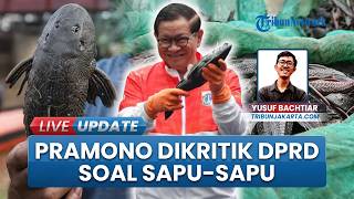 DPRD Jakarta Minta Pramono Tak Cuma Fokus Operasi Ikan Sapu-sapu, Ingatkan Program Lingkungan Lain