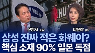 한중정상회담이 남긴 숙제 ‘전략적 부담’... 중국 반도체 굴기? / 전병서 소장