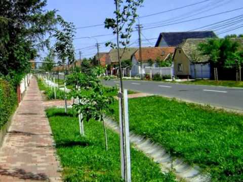 ORASUL SANNICOLAU MARE