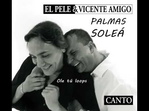 PALMAS SOLEÁ 140 BPM