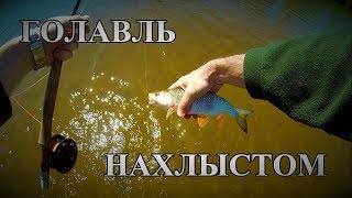 Какой поводок ставить при ловле на стример нахлыстом