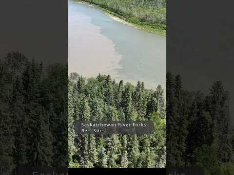 Saskatchewan River Forks Rec. Site - June 13, 2026