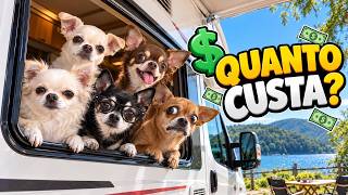 QUANTO CUSTA VIAJAR DE MOTORHOME COM 6 CACHORROS?