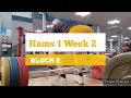 DVTV: Block 5 Hams 1 Wk 2