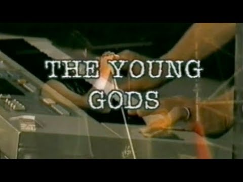 The Young Gods - Full Live Paléo Festival, 26 Juillet 2001 (EpXtaZ Remastered)