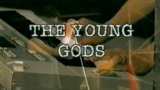 The Young Gods - Full Live Paléo Festival, 26 Juillet 2001 (EpXtaZ Remastered)