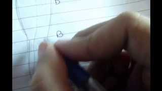 Types of perforators of the lower limb mnemonic