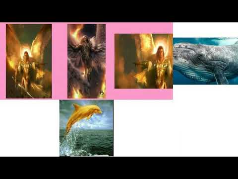 SSALONGO NAMUZINDA - AMAGEZI AMAGYA, KATONDA DOLPHINE WHALES NE BAJJAJJA MWE MUBWA MAYEMBE.