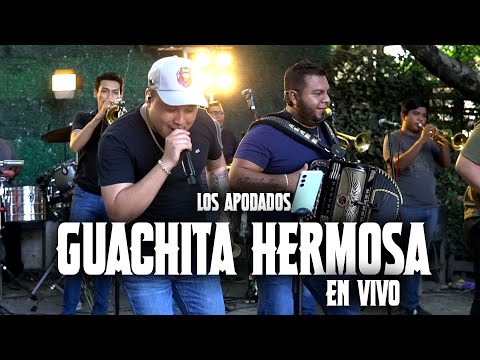 Guachita Hermosa - Los Apodados En Vivo "ESTRENO"