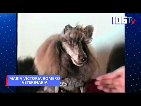 RINCON MASCOTERO CON LA DRA. MARIA VICTORIA ROMERO