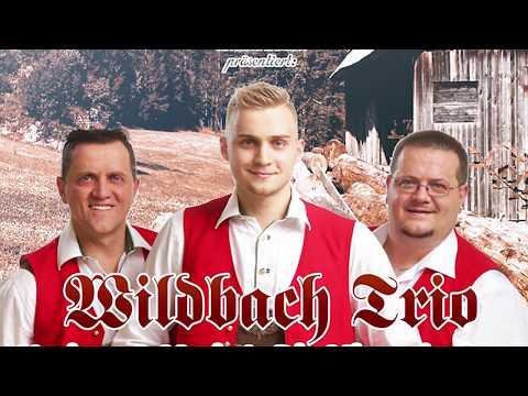 Wildbach Trio -  Steirische G'miat  -  Gasthaus Mosbacher