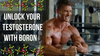 How to Boost Free Testosterone with Boron: Thomas DeLauer