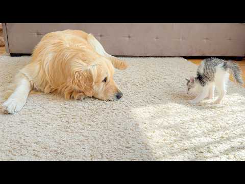 YouTube 썸네일