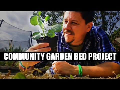 Growing Zucchinis The Right Way Part 1 of 3