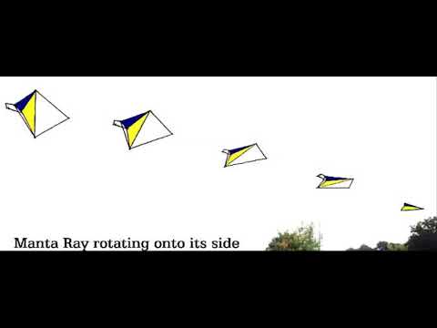 Swamp Gas October 1994