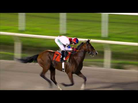 211226 c14 BUEN PALO