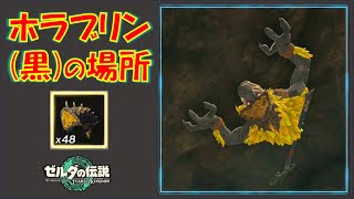 【ゼルダの伝説ティアキン】黒ホラブリンの出現場所を紹介！おすすめの洞窟は！？