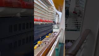Let's check which ships is our neighbors!.. #cruiseship #travel #vacation #viral #yt #ytshorts