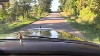1955 Chevrolet 3800 Long Bed Step Side Pickup Ride Along