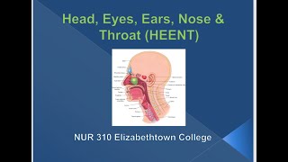 NUR 310 Lesson 2 HEENT Assessment