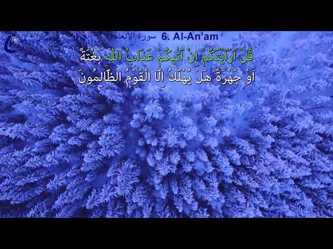 download lagu mp3 mp4 Le Bal Accordon Blief Bie De Mam, download mp3 Le Bal Accordon Blief Bie De Mam free downloadn, video klip Le Bal Accordon Blief Bie De Mam