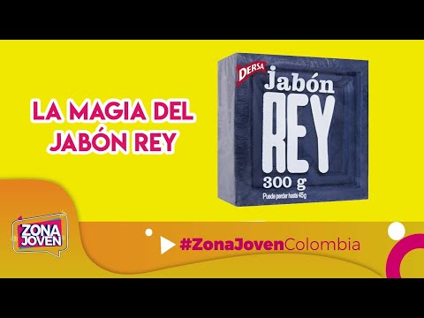 10 usos Jabón Rey