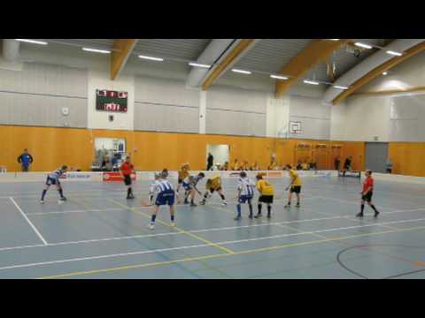 Salibandy: LeBa - Top Team 21.01.2010 (viimeiset minuutit)