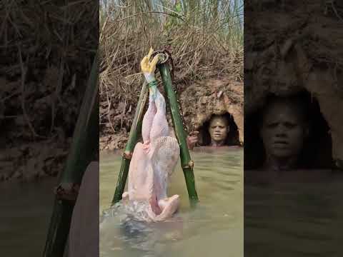 The Smart Way to Catch Catfish Automatically #grow #fishing #fishing #handfish # #fishbait