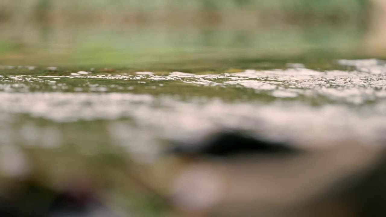 March for Clean Water - Live Stream