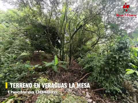 Terreno en Veraguas, La Mesa, Sector Los Solises.