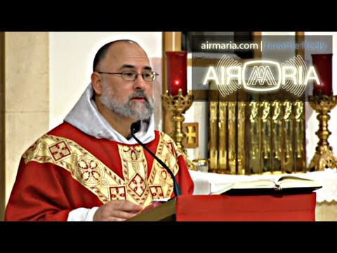 To See God - Jun 11 - Homily - Fr Alan