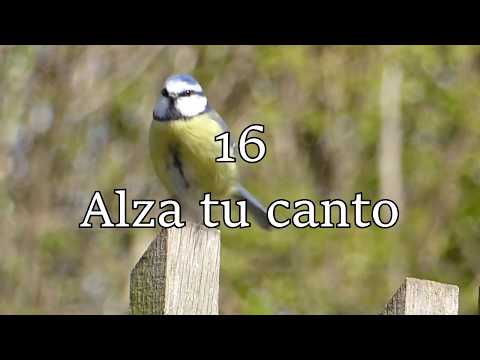 HA62 | Himno 16 | Alza tu canto