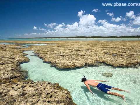Alagoas video