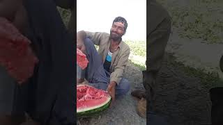 Download lagu meme makan semangka sambil tertawa #viral #trending #comedy #memes #meme #laughing mp3