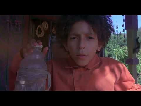 Hector Zeroni Holes
