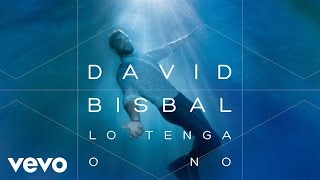 David Bisbal - Lo Tenga O No (Audio)